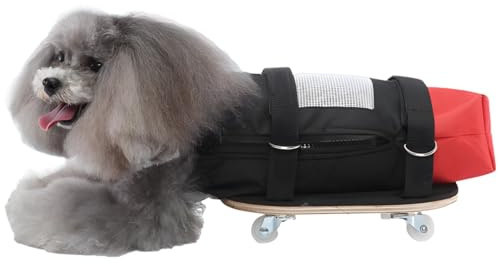 Texvora Silla de ruedas para gatos y perros, scooter para patas traseras, disponible en tallas S/M/L, diseño transpirable de poliéster, ruedas silenciosas, fácil de maniobrar, para mascotas