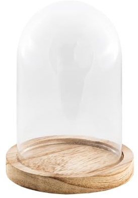 Chaks - Cloche en verre avec socle en bois, dôme transparent avec socle en verre et en bois, décoration pour salon, étagère et table