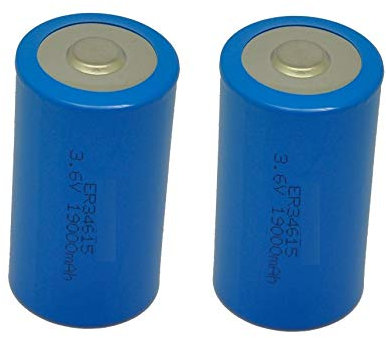 2 Piles au Lithium 3,6 V 33600 - ER34615 Taille D – 19000 mAh