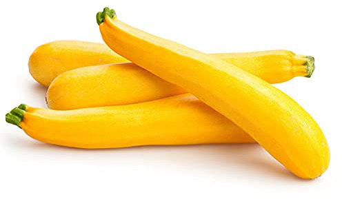 25 Graines de Courgette Goldena - légumes jardins potager - semences paysannes