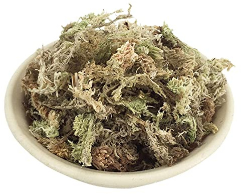 Lambo Torfmoos, Orchidee Torfmoos Getrocknet, Sphagnummoos Für Pflanzen, Sphagnum Moos Für Bonsai, Natürliches Torfmoos-Substrat Für Orchideen Saftige Fleischfressende Topfpflanzen Rept, 6/12L