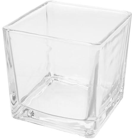 jojofuny Vase Carré Verre Transparent pour Hydroponie et Décoration de Table Vase Floral Moderne Cube Élégant pour Fleurs Accessoire Décoratif Contemporain