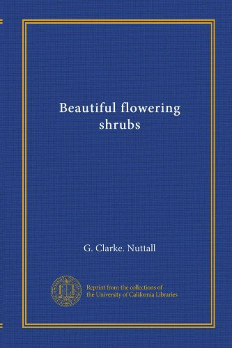 Bellissimi arbusti fioriti