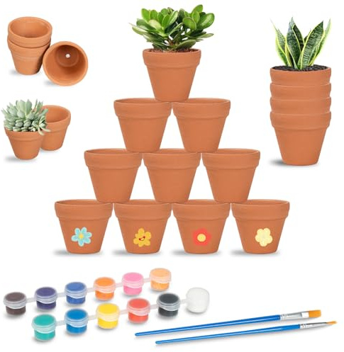 Sheryl&Rain 24 Small Terracotta Plant Pots, 3.5x3cm Mini Clay Pot with Paints & Brushes, Tiny Flower Terracotta Pots with Drainage Holes for Cactus Succulent for Party Decor（1.37in）