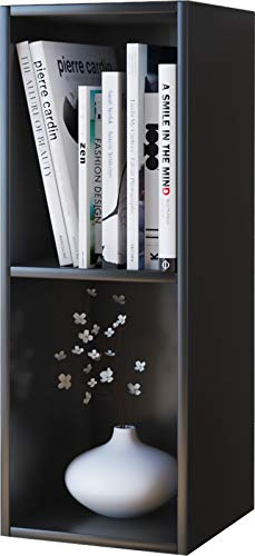 VCM Supporto per CD e Dvd in Legno Scaffale in Piedi Scaffale Decorativo Mendas 2 Scomparti Supporto per CD e Dvd in Legno Scaffale in Piedi Scaffale Decorativo Mendas 2 Scomparti Nero