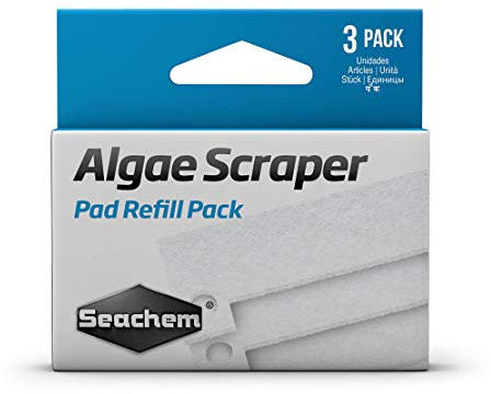 Seachem Recambio para raspador de Algas.