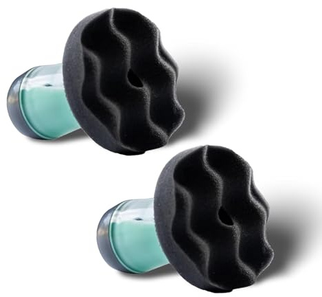 Reifenglanz Applikator, Tire Shine Applicator Reifenbürste mit Ständer, Professional Detailing Tool für Auto, Schlierenfreier Glanz, Funktioniert mit Allen Tire Shine & Gels (2P)