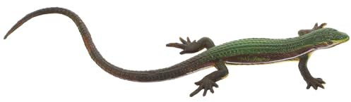 FIXOSHEE Figura Lucertola Realistica in Plastica per Giocattolo Rettile Simulazione Sicuro e Leggero Decorazione per Giardino e Bonsai Riproduzione Educativa per Gioco e Apprendimento