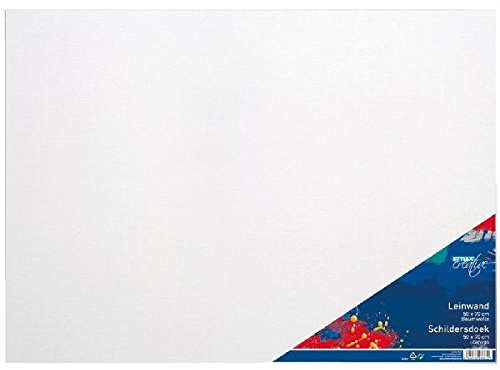 6 Leinwände bespannte Keilrahmen Leinwand 50x70cm