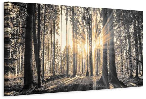 murando - Leinwandbild Panoramabild, 150x50 cm, 1-teilig, Schlafzimmer | Hochwertige Leinwand, sofort aufhängbar, ideal fürs Wohn- oder Schlafzimmer, wasserfest und lichtecht, langlebig, stilvoll