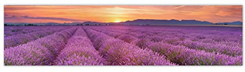 MuchoWow® Balkon Sichtschutz Sichtschutzmatte Balkonbanner Abdeckung für Terrasse Balkon Windschutz Blickdicht Wetterfest 500x120 cm Lavendel - Frankreich - Sonnenuntergang - Natur