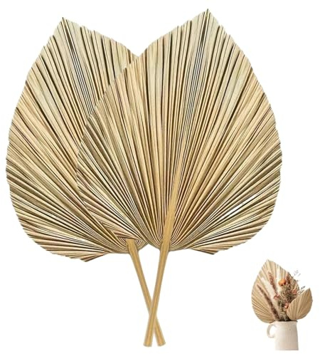 Obelunrp Decoración de Hojas de Palma secas de 2 Piezas, Hojas Tropicales de 17.7x9.8 Pulgadas, Hoja de Palma Estilo Boho para arreglos de Mesa de jarrón de Bodas, decoración Seca