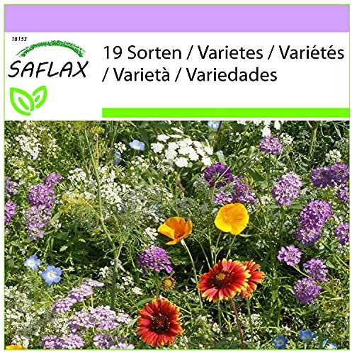 SAFLAX - Paraíso para insectos - 1000 semillas - 19 Wildflower Mix
