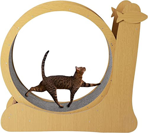 Hundelaufband Laufrad für Katzen, Laufband für Katzen, runde Laufräder mit Teppichlaufbahn, Gewichtsverlustgerät für Katzen zum Abnehmen und Trainieren von Haustieren