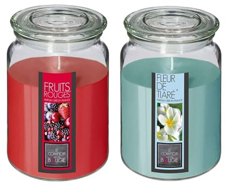 Well Home Lot de 2 bougies parfumées (fleur de tiare + fruits rouges) de 510 g dans un récipient en verre Ø10 x H.14,5 cm