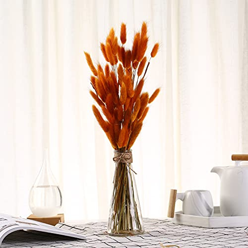 YIWOYI Lot de 50 tiges d'herbe naturelle séchée en queue de lapin, bouquet de fleurs séchées naturelles, décoration de maison, plantes décoratives de fête (orange)