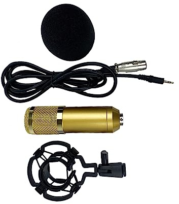 Kisangel BM-800 Kondensatormikrofon mit Doppellagigem Netzdesign, Vergoldet | Mikrofon zum Singen und Aufnehmen, für Konferenzen, Low Noise und Erhöhte Korrosionsbeständigkeit
