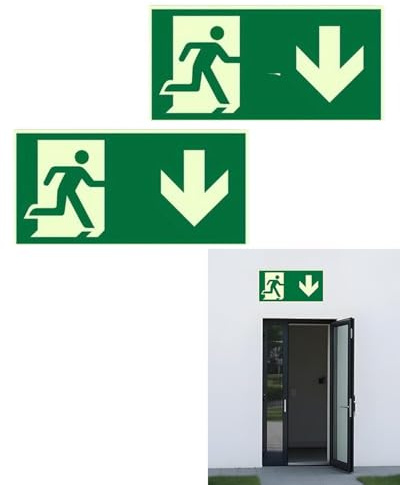 UEAVOID Señal Salida de Emergencia Homologada Luminiscente Autoadhesiva 2 Unidades | Para Evacuación, Oficina, Hotel, Escuela