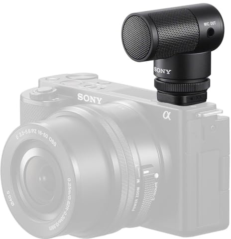 Sony Vlogger Shotgun Microphone ECM-G1, Auxiliary