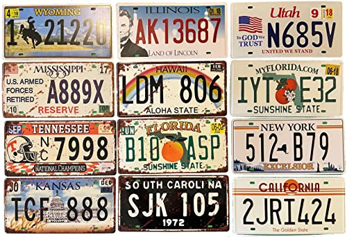 DiiliHiiri Set mit 12 Nummernschildern für US-Auto, Repliken von amerikanischen Platten, Bar, Café, Herrenhöhle, Garage oder Werkstatt, 15 x 30 cm (LOTE-5-Y-7-REKKILPI)