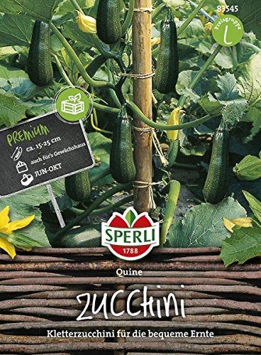 Zucchini, Quine, Cucurbita pepo