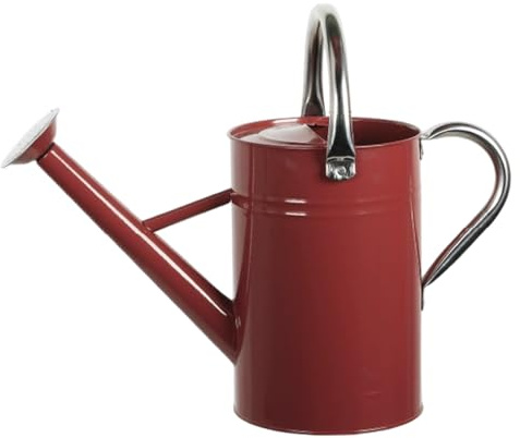 Regadera de Acero Inoxidable, regadera de Metal de 1, 3 galones/5 l con Boquilla extraíble y 2 Asas para Plantas de Exterior e Interior, Color Burdeos