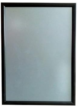 INTERFACE-PLV BCS A2N