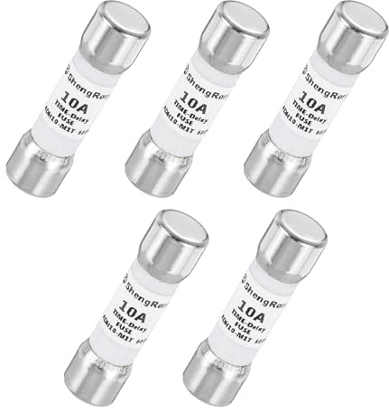 QUARKZMAN 5er Packung Glas Sicherung 10A, Träge Feinsicherung 10X38mm Zeitverzögerungssicherung 600V AC für DIY-Inverter-Schaltkreisplatine