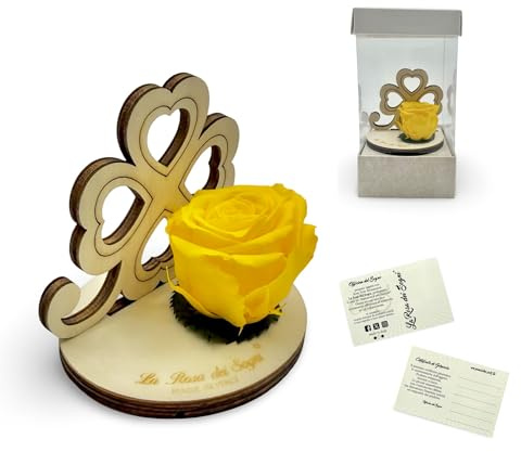 La Rosa dei Sogni Rosa Stabilizzata con Quadrifoglio in Legno Intaglio Laser – Fiore Naturale a Lunga Durata - Made in Italy (Giallo)