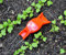 Bobby Seeds Swedish Weeder Hand Weeder Red