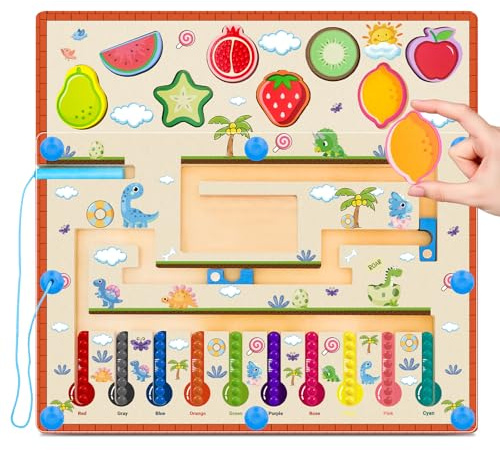 RunHero Montessori Spielzeug Labyrinth Holz Magnetspiel Sortierspie Steckspiel Holzspielzeug Holzpuzzle für ab 3 4 5 6 7 8 Kinder