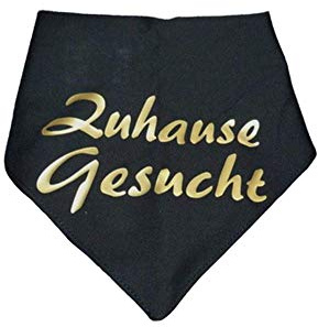 Hundehalstuch Zuhause gesucht