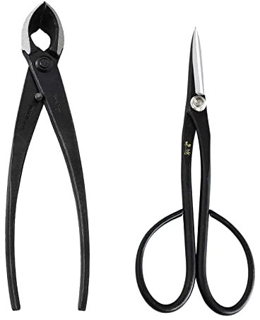 Wazakura Set 2 Outils Japonais Essentiels pour Bonsaï et Jardinage en Acier Carbon et Fabriqués au Japon, Ciseaux Satsuki 180mm et Coupe Branche Concave 200mm