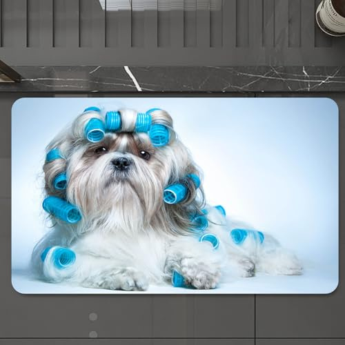 EMCLKS Alfombra Baño Antideslizante 60x90 cm,Perro de Pelo Rizado Azul, Cachorro de Moda en Entrenamiento para el Cabello r,Alfombrilla Absorbente, Alfombras Lavable a Máquina con Microfibras Suaves