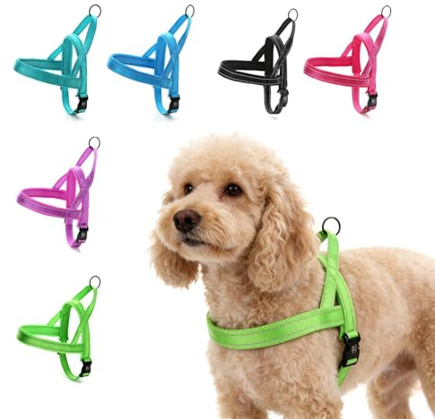 Amakunft Reflektierende Langlebig Hundehalsband anpassen, mit Namen, Namen Bestickt Telefonnummer Pet Halsband, Persönlichen ID Halsband für Hunde (Hundegeschirr-01)