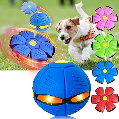 Bola platillo Volador Juguete para tas, Juguet para tas Juguet para Perros Juguete Bola platillo Volador mágico, Platillo Volador Pelota Juguete para Perros