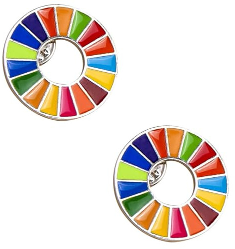 Vinciann 2 Broschen Anstecknadeln Emaille Ziel nachhaltige Entwicklung 17 Farben Geschenk Nachhaltigkeit SDGs SDG Geschenkidee Ökologin 2,3 x 2,3 cm, Small, Zink, Ohne Stein