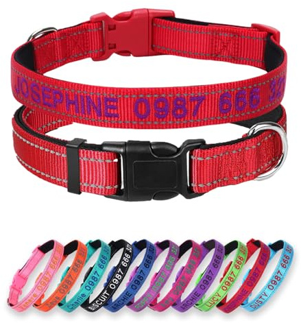 Personalisierter Hundehalsband mit Neopren‑Polsterung,Bestickt,Rot | Individuell bestickter Name Schnellverschluss‑Schnalle, atmungsfestes robustes Nylon, verstellbar für alle Hundegrößen