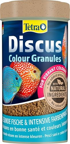 Tetra Discus Colour Granules - alimento en forma de gránulos para colores intensos y brillantes, especial para peces disco de coloración roja, naranja y amarilla, lata de 500 ml