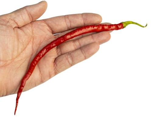 Thai Green Curry x 10 Chilli Seeds