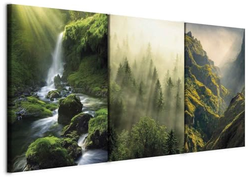 murando - Ensemble de 3 Tableaux d'Art Décoratif Paysages Forêts 120x60 cm | 3 Pièces de 40x60 cm Chacune, Tableau Triptyque Décoration Moderne Salon, Impression sur Toile, Clous Inclus