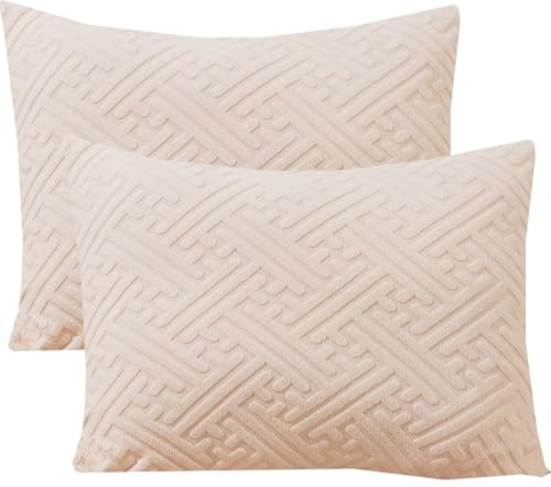 SWJ-swjssb Kissenbezug 50x70 (2er Set Kissenbezüge) Rechteckige, Pillow Cases Grau Beige Kissenhülle Plüsch Samt Zierkissenbezug Dekokissen Überzug Sofakissen Kopfkissenbezug(Beige)