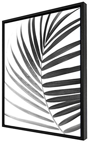 Bildershop-24 Schattenfugenrahmen Set Hamburg Schwarz (matt) mit Keilrahmen Leinwand Bild Druck Motiv: Palmenblatt 2 40x50cm