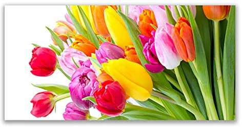 Tulup Acrylic Glass Print 120x60cm Wall Art - Wall Picture Plastic Acrylic Glass - Tulips Floral