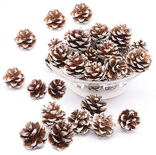 TheStriven 48 pcs Weihnachten Tannenzapfen Dekoration Natürliche Tannenzapfen Weihnachts Tannenzapfen Dekor Anhänger Tannenzapfn Groß Dekokranz Tannenzapfen für Geschenkanhänger Weihnachtsbaum Party