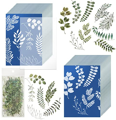 LUTER 32 Piezas Papel Cianotipo, Alta Sensibilidad Papel de Impresión Solar Papel de Cianotipia con Una Hoja Acrílica Kit de Impresión Solar para Niños Adultos Manualidades (A5, 14,8x21cm)