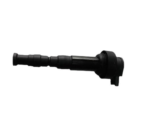DZSQWETYU Zündspule Zündspule Stecker 7715846-02 7715846 02 Für F 650 800 700 R GS Für F800R Ersatz Zündmodul