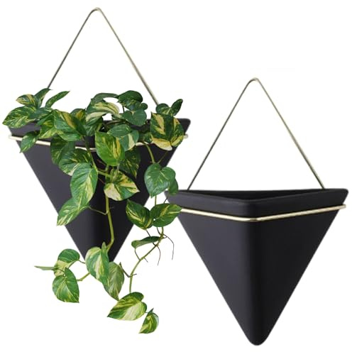 Macetero de Pared para Plantas de Interior, 2 Unidades, macetero de Pared Colgante de cerámica con Marco de Metal, decoración geométrica para Plantas de Aire, Mini Cactus, de imitación, Decor