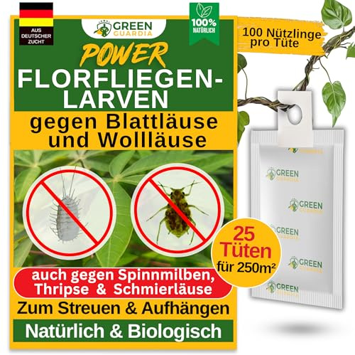 GREEN GUARDIA Power – Uova contro afidi e pidocchi – 25 sacchetti – Agente biologico per efficace lotta contro afidi e pidocchi di lana per piante da interno e ornamentali e molto altro ancora.