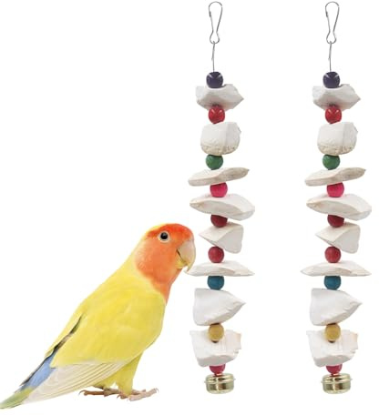 Lot de 2 Jouets pour Oiseaux avec Os de Seiche – Jouets pour Perruches, Pierre à Bec pour Oiseaux, Accessoires de Cage pour Ondulées, Inséparables, Cockatiels et Oiseaux de Petite à Moyenne Taille